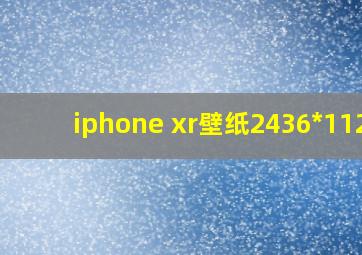 iphone xr壁纸2436*1125